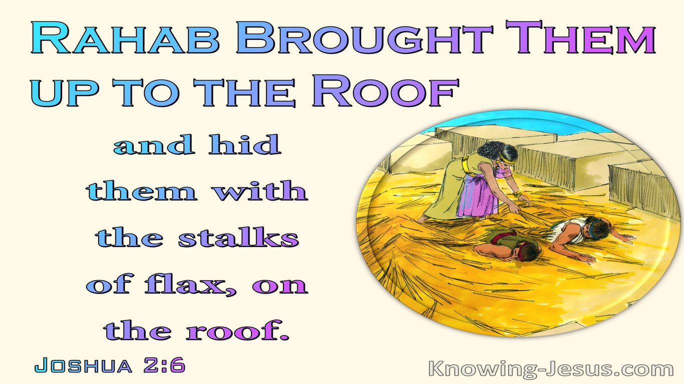 Joshua 2:6 She Hid The Spies In Stalks Of Flax (beige)